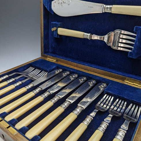 British antique resin handle silver plate fish cutlery 6x2 & server set in wooden box